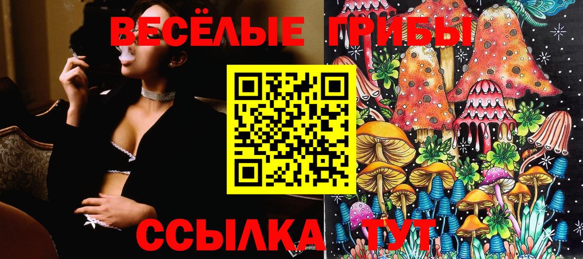 Псилоцибиновые грибы Cubensis  Вход с VPN  Галлюциногенные грибы мицелий  Новодвинск 