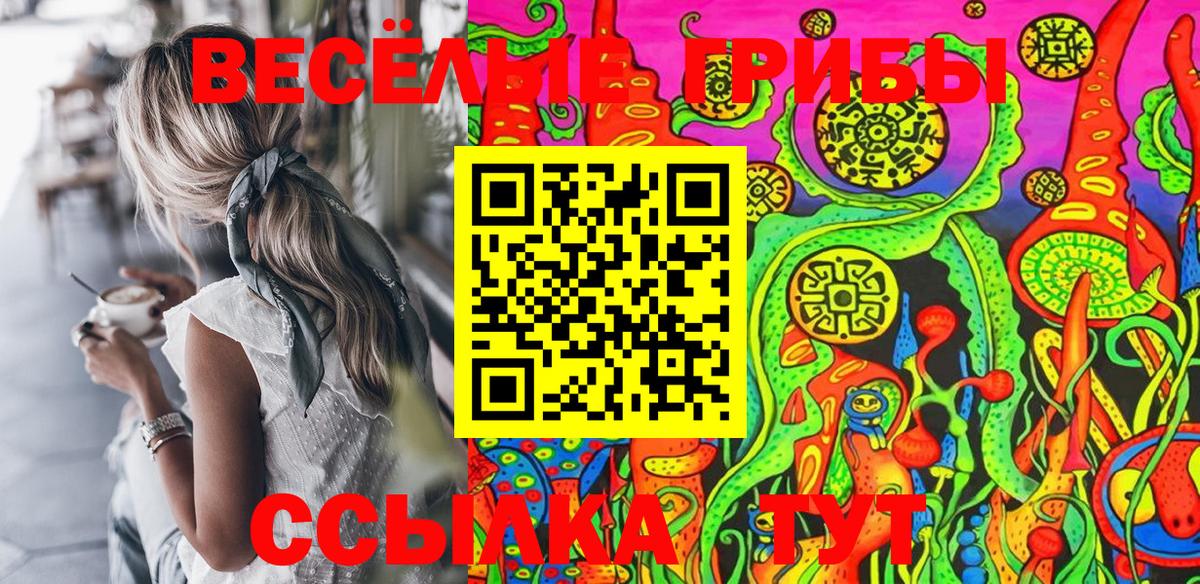 Галлюциногенные грибы Psilocybe Новодвинск